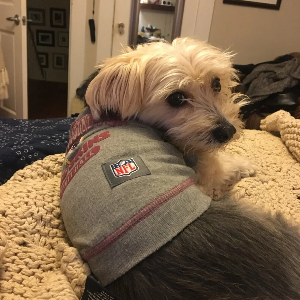 Boo & NFL Pup Jerseys